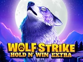 Wolf Strike Hold and Win Extra screenshot